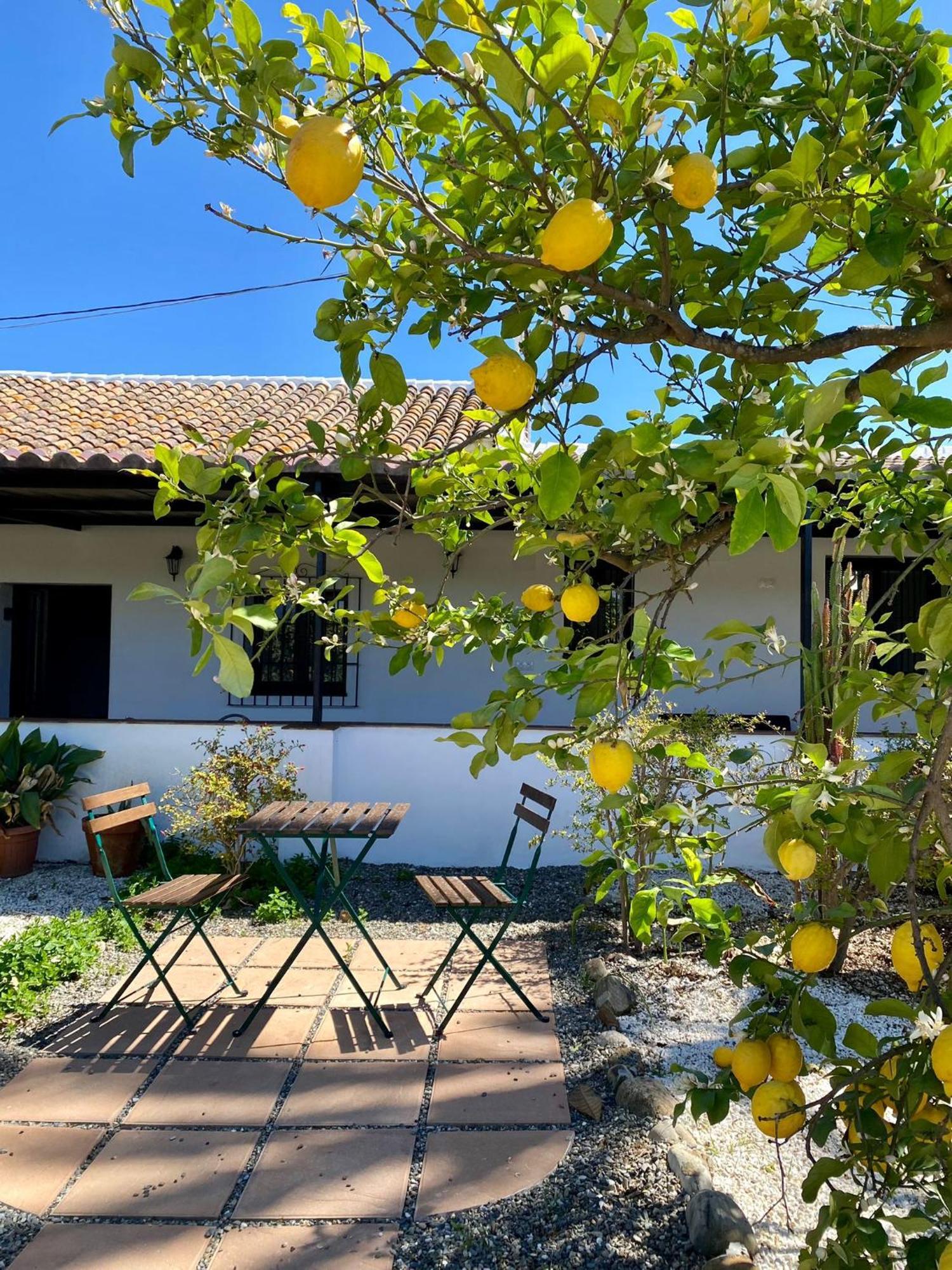 Villa La Vega - Malaga — Fotos 3